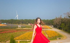 陆贞传奇片尾曲mv